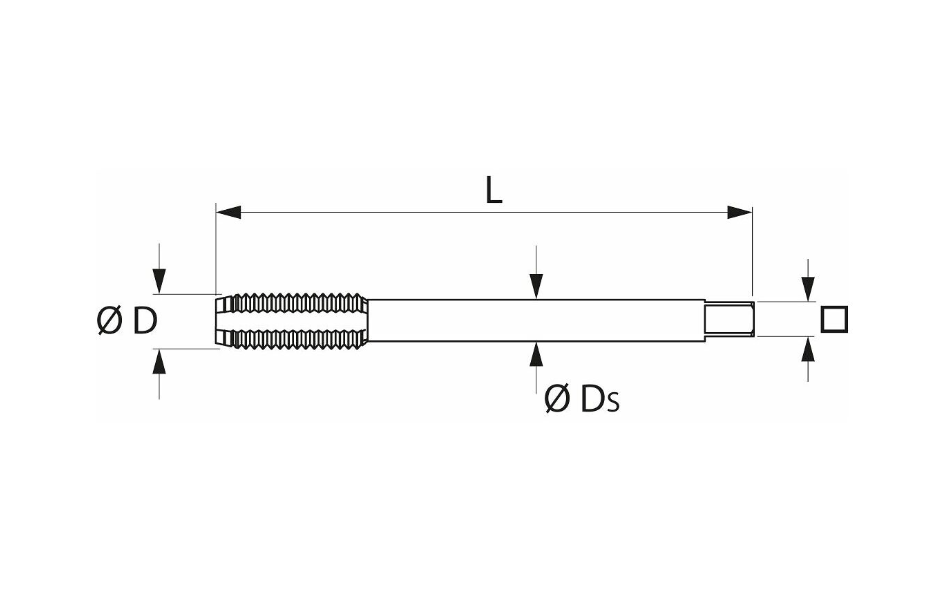 HSS- E 폼 CM5 타이핑 기계 (Machine tap HSS-E Form C M5)