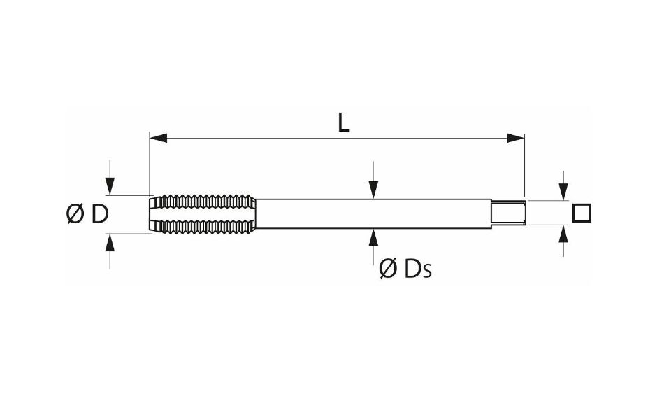 HSS- E 폼 CM20 타이핑 기계 (Machine tap HSS-E Form C M20)